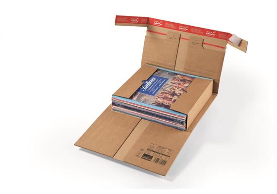 Versandverpackungen aus Wellpappe mit Sicherungslaschen - 352 × 232 × -102 mm